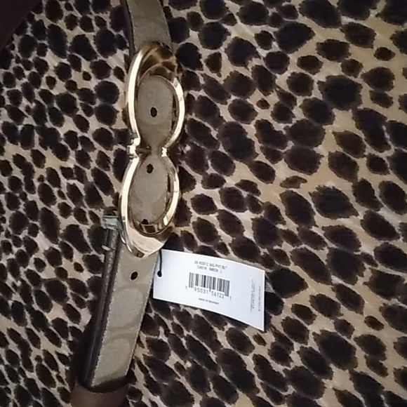 COPY - Coach belt - Picture 3 of 7